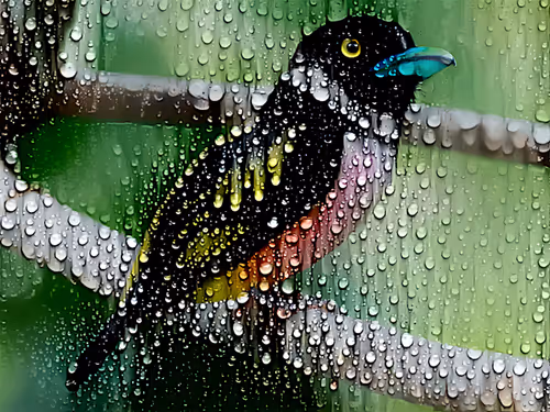 Item #91044834340520431289894732727420299413696760922871931192245520278892746637313 Media