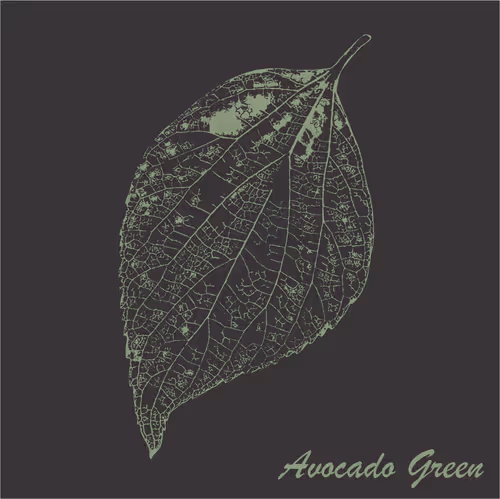 Item #40167138637940562108431742001123872206105593199433866487640627804381464494081 Media