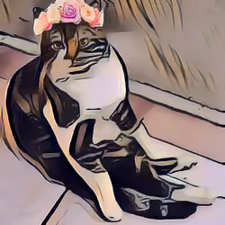 Flower Teddy