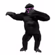 3649169997078881294301891009882513220248848070530967734820966252839505494017