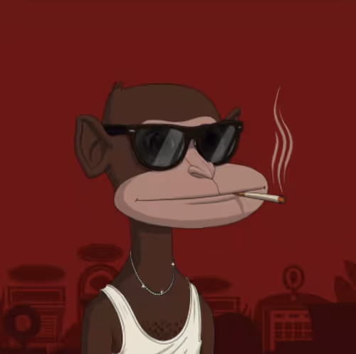 Untitled Collection #36702429