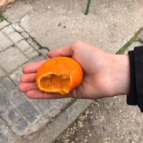 Item #63360963630345977049249493324875102338601865581705419484287116303968180895745 Media