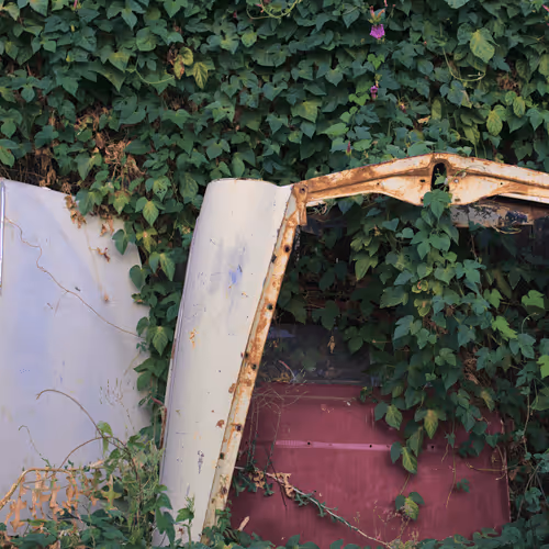 Item #63469761567061717341732170854689072472341875368113613158341509142550323134465 Media