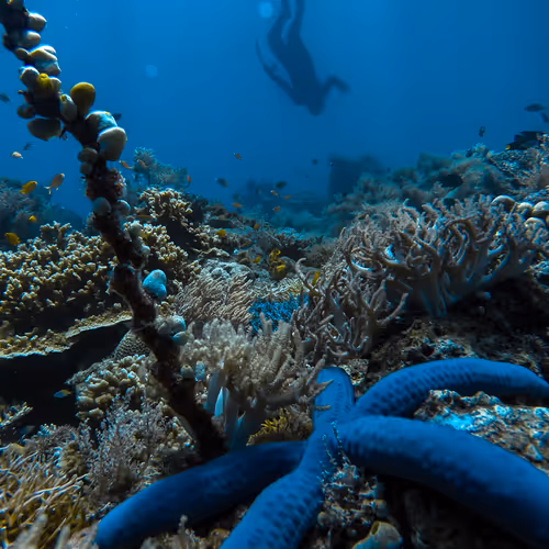 77639041975894886609071233097545712090510044969555444171952761928896353402881