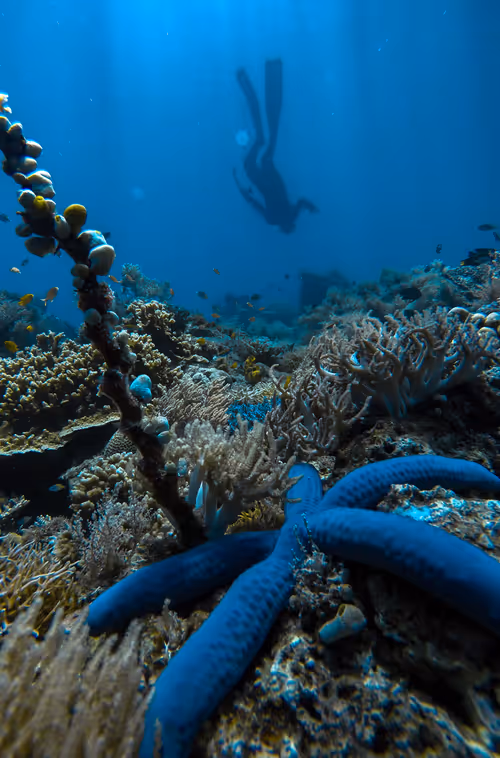 Item #77639041975894886609071233097545712090510044969555444171952761928896353402881 Media