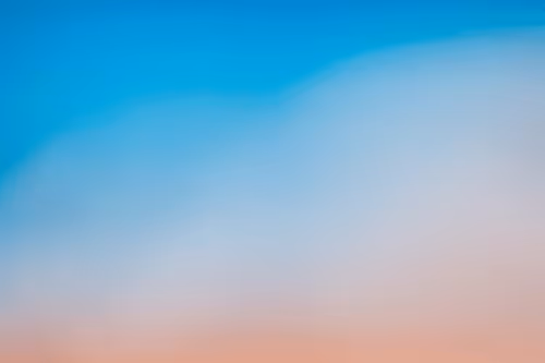 Item #46792904784697515882439794272040020913336115703510699417413684012139786797057 Media