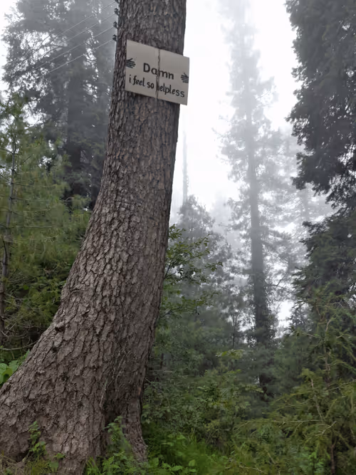 Item #27917072973309372789132871804827767057096324304554366931119978123372202557441 Media