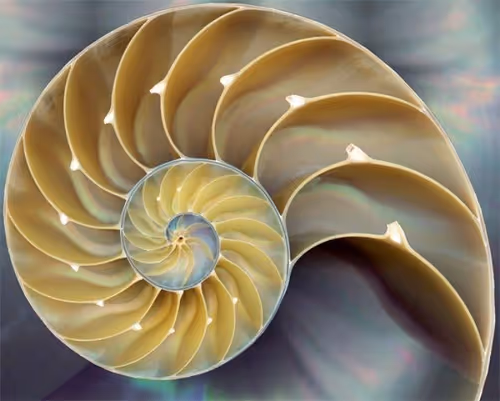 Item #39629935389522237345664437028542438492977381533873015043488418106904443617287 Media