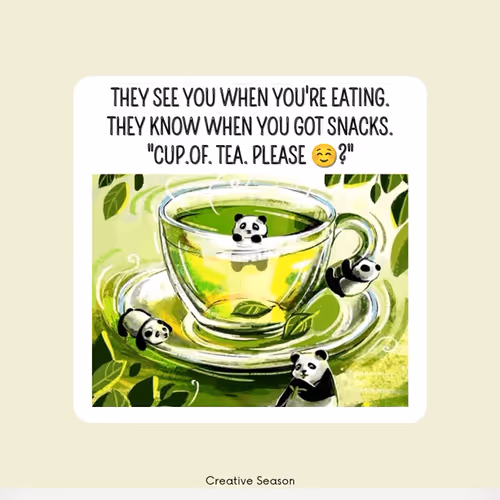 Item #72507156738189358565204050492500436138872138688860936196309587907529385443329 Media