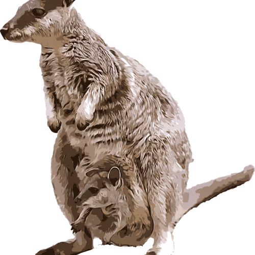 11276162529628641556553056529614973332754405277106184420845744803619847274497