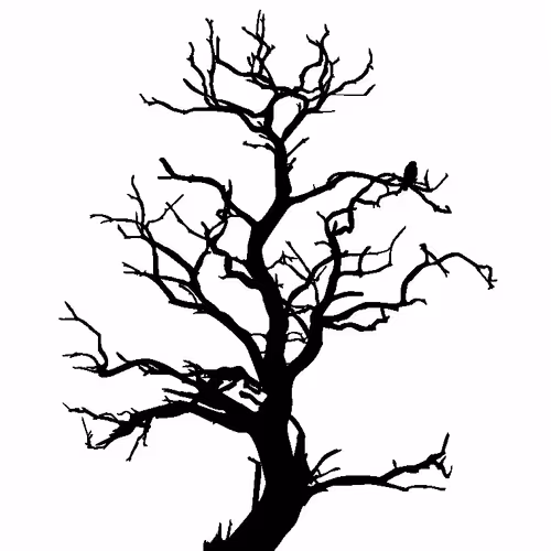 Item #28584310891482146390254294675559111591300807555565075434256981945506198454297 Media