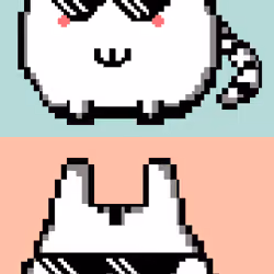 Super rare pixel cat shiro thug life