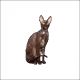 7917608709568526609042417006664391966594597627541652161018316719633570201601