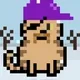 62467536445418901683526312390752010330375978015730577464472941845494359916545