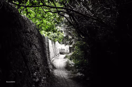 Item #88588118460762935851954819290277197949236789267554687293919040418830931197953 Media