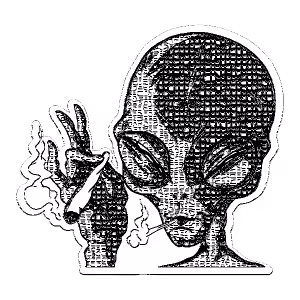 Item #57042165933115005315134391733025311554923819033960156403482422938336078331905 Media