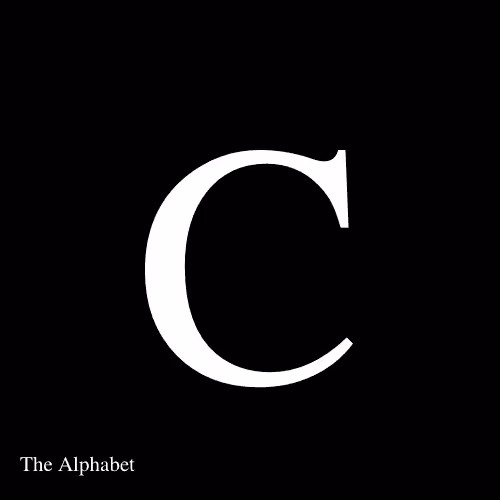 Item #15667918565991512040027370799027687282016869594247132407079641272792544968714 Media