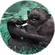 113709189734790748592391654450439240063150789271032554498674515242758298402817