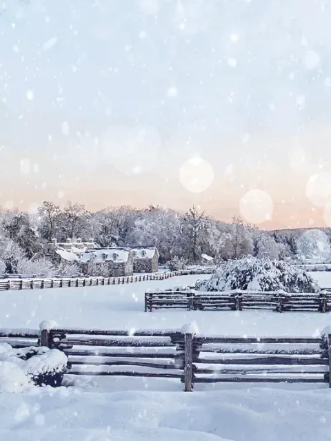 Item #15081463501546268006596121588316872326209313817998412847676537158909363748865 Media