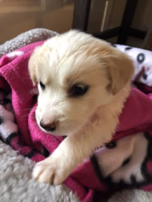 Item #26021919190310937571247467313270342699930871258743276623395518813986961227777 Media