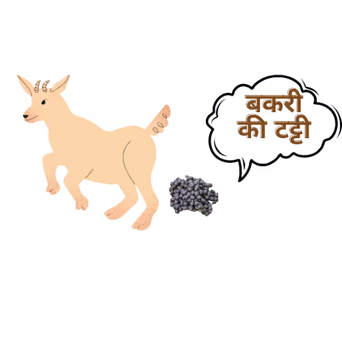 105050761401497191004773539515645462106008427788240903317161599074921854533633