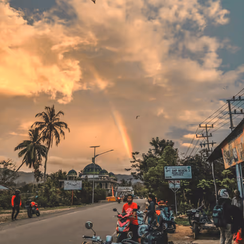 Untitled Collection #203377432