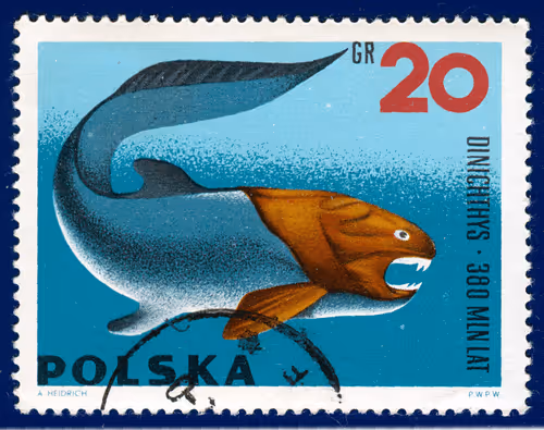 Item #43396075324703898266047812514621818701228729938743194280491743639986065375233 Media