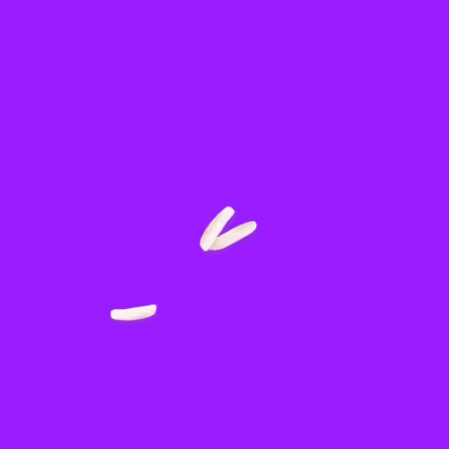 Ricegrains Zip7F9vsae