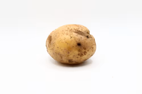 Item #97726151104522163495278545296769301934737660224123995419035737015737347211265 Media