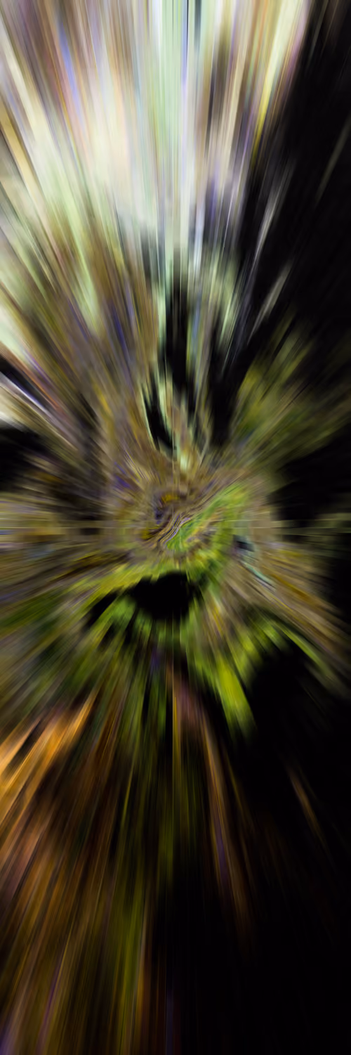 Item #33361527923712313222846285841636597829457306521645504350693344963096299438081 Media