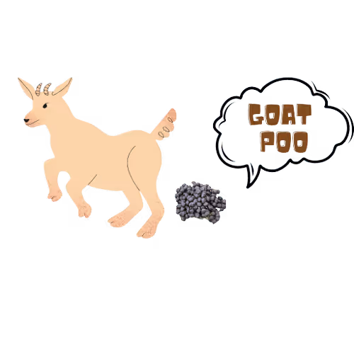 Item #105050761401497191004773539515645462106008427788240903317161599073822342905857 Media