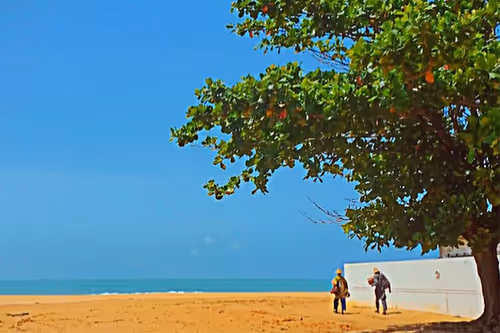 Item #41608925496439583284809555663885876184163164530978979239857956426528682147841 Media