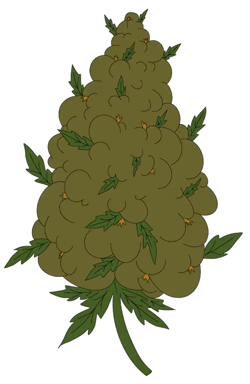 Item #66522560998545399229965450934026756509411677722078859939307370245775683485697 Media