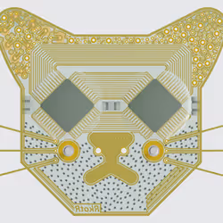 104497178399368022772176824118310130995262528435182375054891228035468534743041