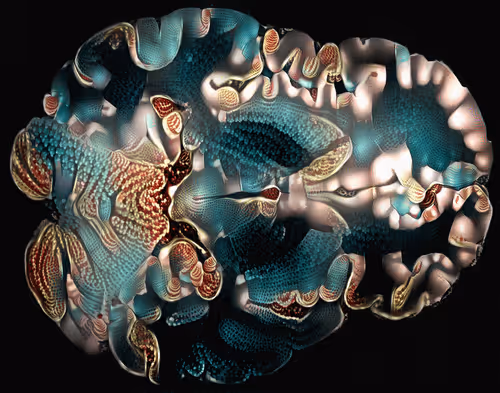 Item #29877578668728852178902598419785793077778618348046200683544678330542711635978 Media