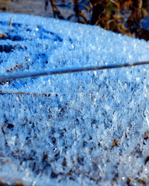 Item #55297223282317197917185791022658401724226762533250968792427961471861885239297 Media