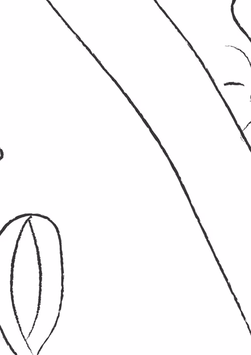 Item #6833057567542048306774617584562522934809480463966992875859329316103477264385 Media