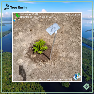 Item #8500196597889277390194123329501889087166328879864934763448349196450755772417 Media