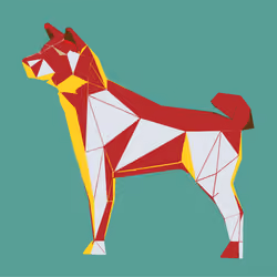 Shiba #10