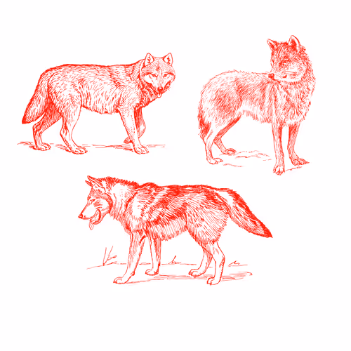 Item #25506781774429673479118459037672467037102609755826934466658808709535999459329 Media