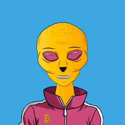 49298756002641662350007870130928629254886403356910807951606249526697222209537