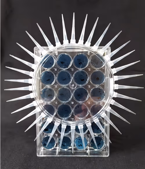 Item #108955583872739655741702358868652756405273862791069305959596897657726414356490 Media