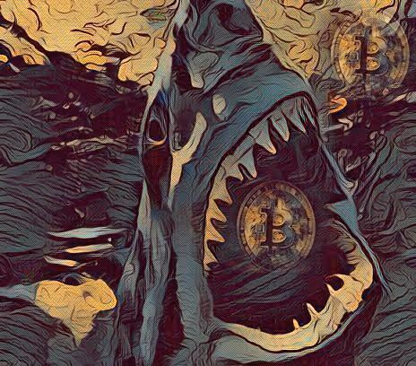 BITCOIN SHARK ATTAK 005