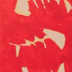 Raspa roja de pescado en un plato rojo II - Red fish bone on a red plate II