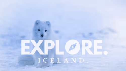 Item #55167293475857333829963200193227146355535503943447662520927477487360475660289 Media