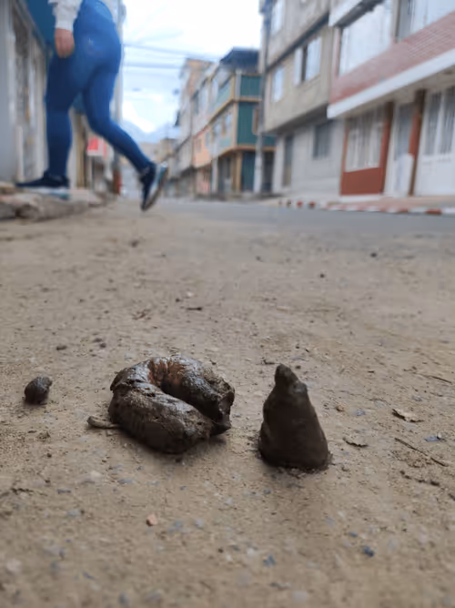 Item #46030170572338065013954339165187362546387663606248340675285172522241656619009 Media