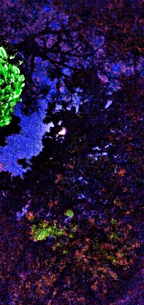 Item #36576831440143805392941663370784632580807018479788440531803952989284803280897 Media