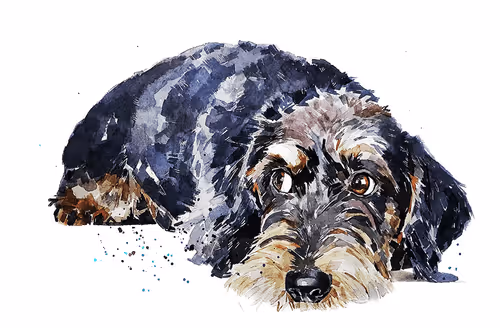 Item #15308155937593783866228062712704217529335676444312394672786838680996042244101 Media