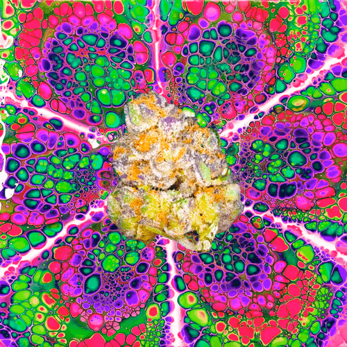 Item #13955282856406335165414100891374623718709547313428947888299033958255834431498 Media