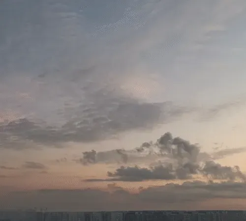 Item #54545336870129037164307986437789858251348704753246412266065009440462156595201 Media